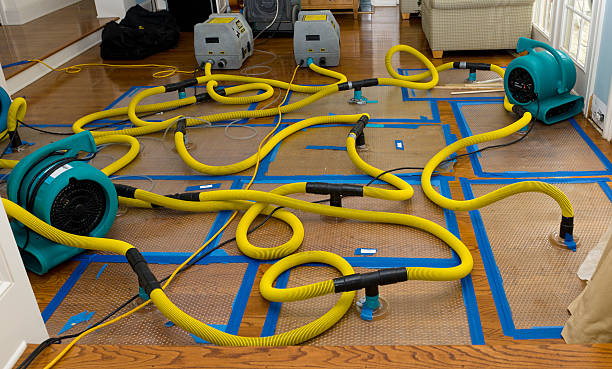 Professional Crawl Space Water Removal technician working in Avalon, CA